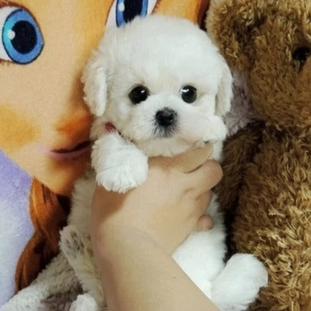 Cuddly Plush Puppy | Weighted Stuffed Animal with Hand-Sculpted Details | Comforting Companion for All Ages