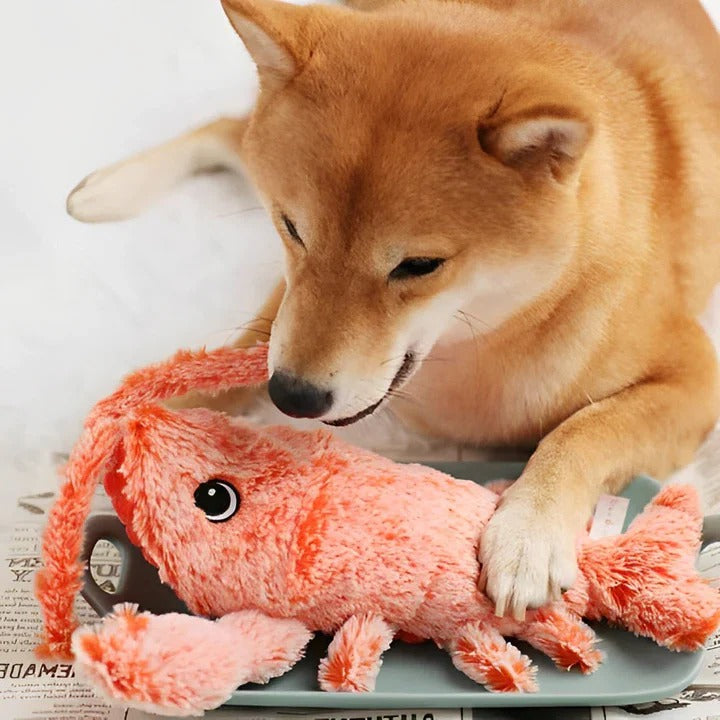 Floppy Lobster Dog Toy Soft Cotton Interactive Toy