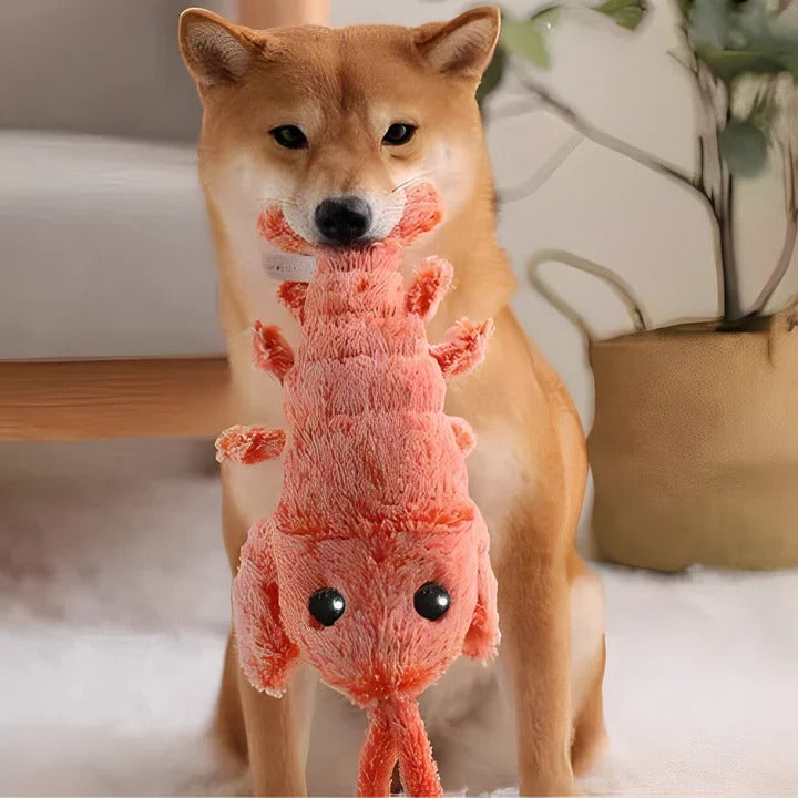 Floppy Lobster Dog Toy Soft Cotton Interactive Toy