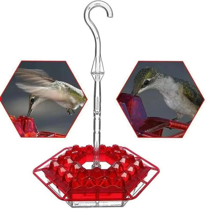 Hummingbird Feeder 30 Port Hanging Feeder