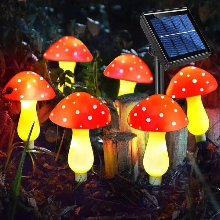 Solar Outdoor Lights LED Pathway Lights