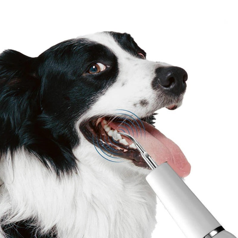 Dog Dental Cleaning Device Ultrasonic Pet Tool
