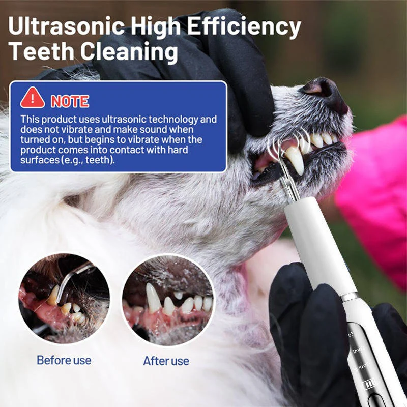 Dog Dental Cleaning Device Ultrasonic Pet Tool