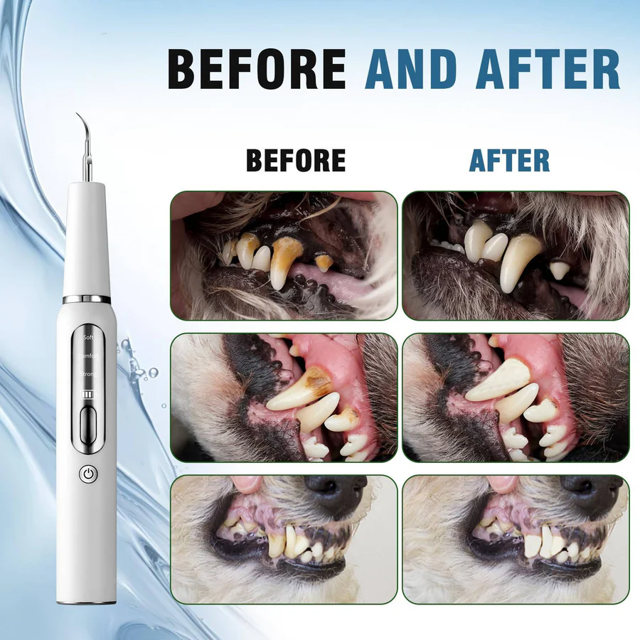 Dog Dental Cleaning Device Ultrasonic Pet Tool