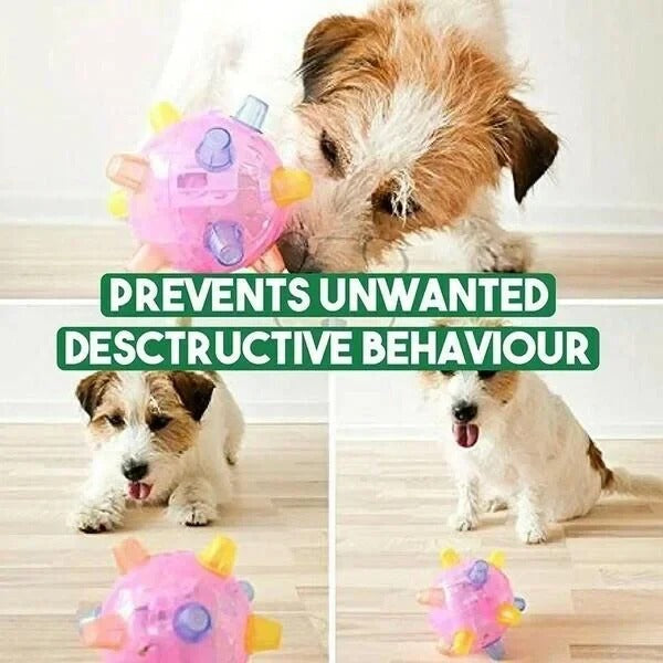 Interactive Jumping Dog Toy Automatic Bouncing Ball for Endless Fun