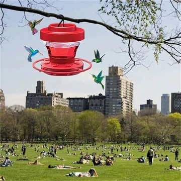 Hummingbird Feeder 16oz Hanging Bird Feeder