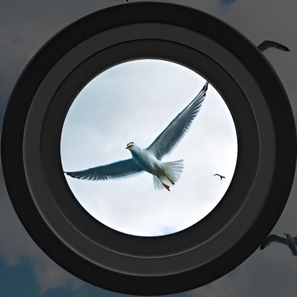 Digital Binoculars LCD Display Viewing Device
