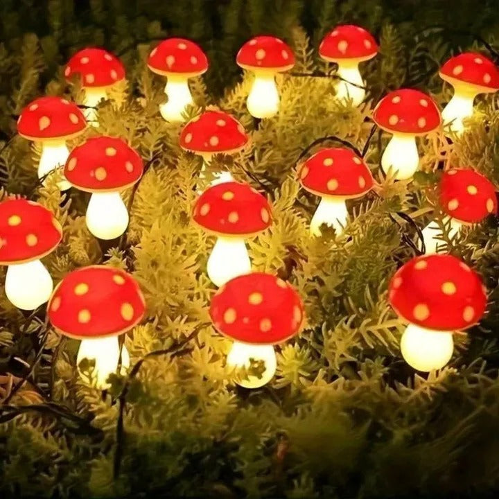 Solar Outdoor Lights LED Pathway Lights