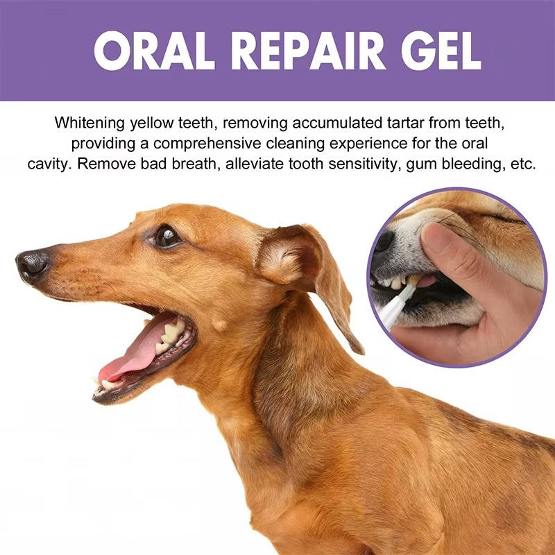 Dog Dental Cleaning Gel Pet Oral Care Product