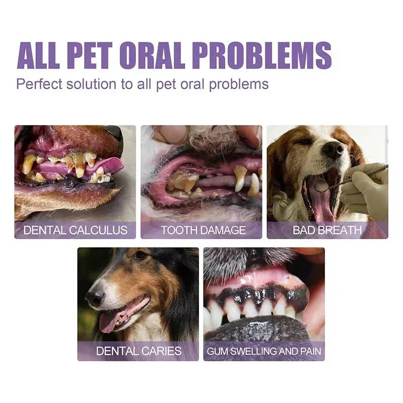 Dog Dental Cleaning Gel Pet Oral Care Product