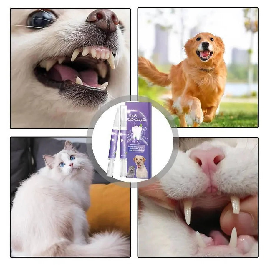 Dog Dental Cleaning Gel Pet Oral Care Product