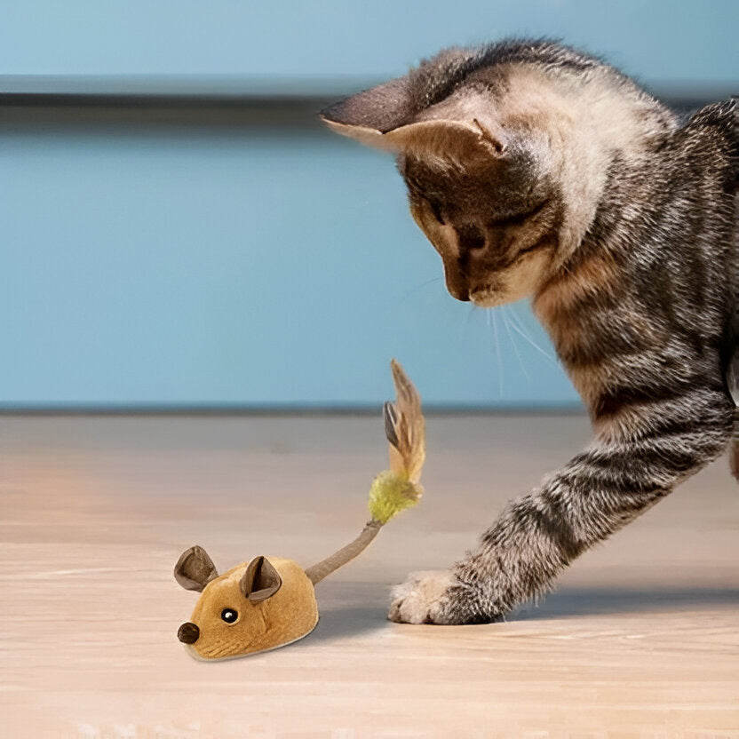 Interactive Cat Toy Motion Activated Mouse