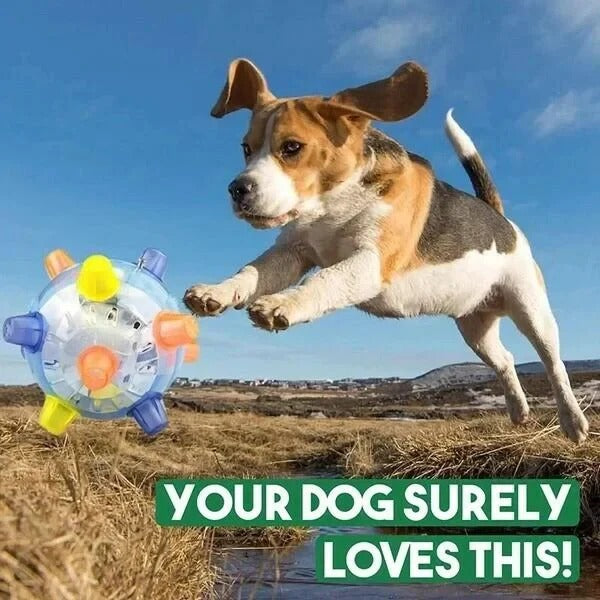 Interactive Jumping Dog Toy Automatic Bouncing Ball for Endless Fun