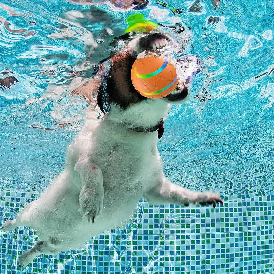 Interactive Pet Toy Ball Remote Control Device
