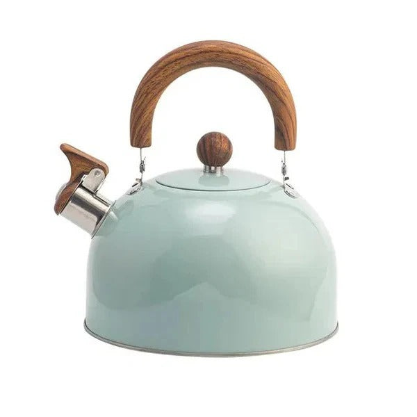 Premium Stainless Steel Whistling Kettle with Insulated Handle | Large Capacity for Safe Boiling