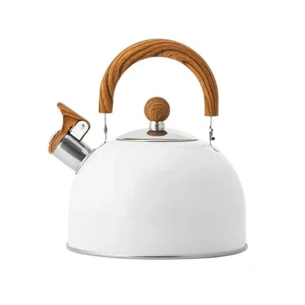 Premium Stainless Steel Whistling Kettle with Insulated Handle | Large Capacity for Safe Boiling
