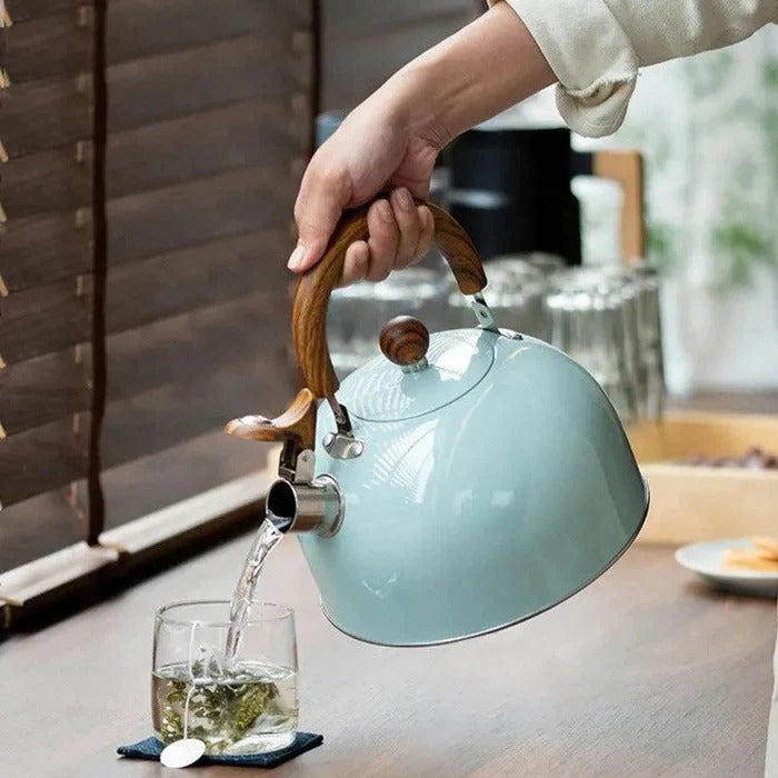 Premium Stainless Steel Whistling Kettle with Insulated Handle | Large Capacity for Safe Boiling