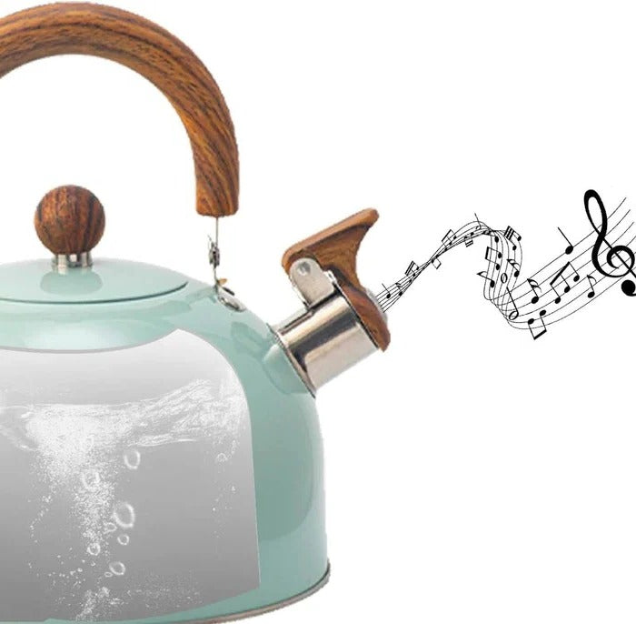 Premium Stainless Steel Whistling Kettle with Insulated Handle | Large Capacity for Safe Boiling