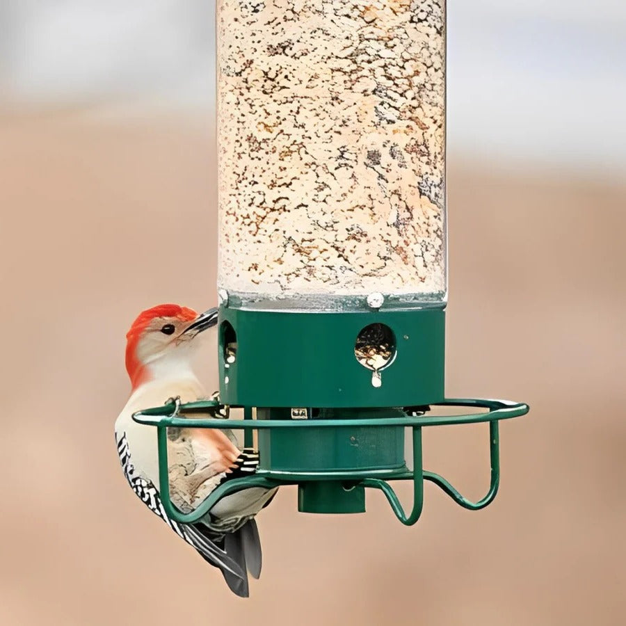 Wild Bird Feeder Hanging Feeding Station