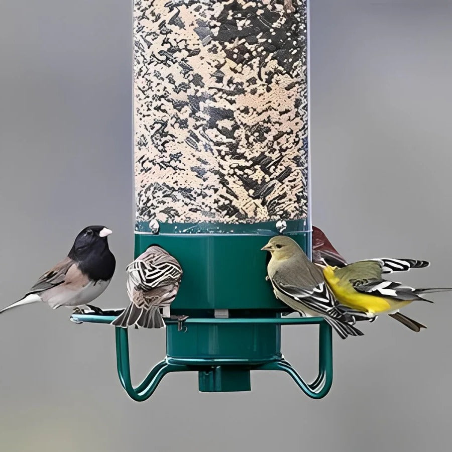 Wild Bird Feeder Hanging Feeding Station